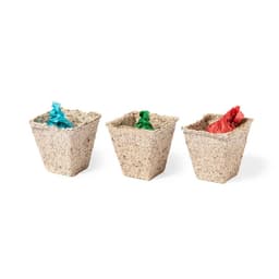 Three biodegradable seed pots in natural tones, with blue, green, and red labels on each.