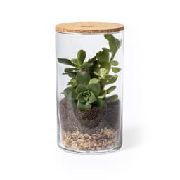 A glass terrarium with a cork lid, featuring green succulent plants and layered soil and pebbles.