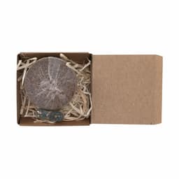 A circular seed disc in a cardboard box with shredded paper. Includes a small blue seed. Natural colour tones.
