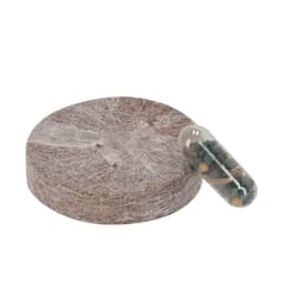 A circular coir disc in natural tones with a transparent capsule containing seeds, suitable for gardening.