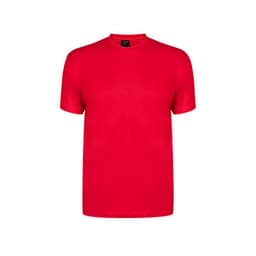 A red premium adult colour T-shirt with a crew neck design and short sleeves. It includes a logo on the label.