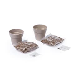 Two biodegradable pots, two seed packets, and two bags of planting mix in a light brown colour.