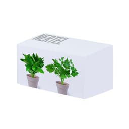 A white box containing two potted plants: one leafy green and one with upright green stalks. The box features a logo.
