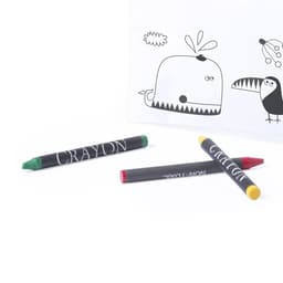 Three crayons in red, green, and yellow, placed in front of a white pencil case with a black and white animal illustration.