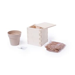 A wooden seed kit featuring a box, biodegradable plant pot, seed packet, and a bag of soil. Includes a logo.