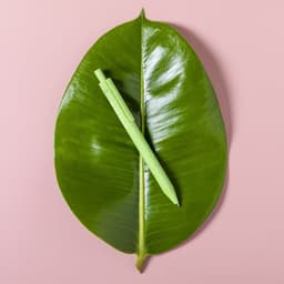 A green pen rests on a large green leaf against a pink background. The pen has a logo on its side.