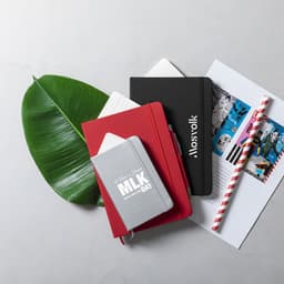 A collection of notebooks in red, black, and grey, alongside a tropical leaf and illustrated papers on a light surface.