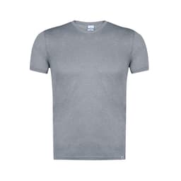 A grey adult T-shirt featuring a classic crew neck design and a logo at the side.