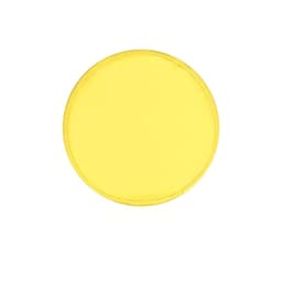 A yellow frisbee with a circular shape, featuring a simple design and a subtle edge binding.