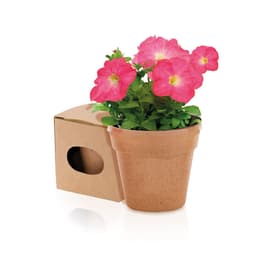 A terracotta pot holds vibrant pink flowers, accompanied by a brown cardboard box with a cut-out handle.