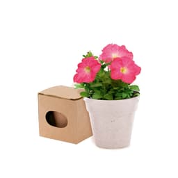 A white plant pot with pink petunia flowers beside a brown cardboard box with a circular cutout.