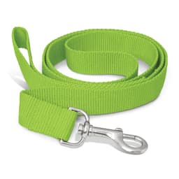 A green dog leash with a metal clip at one end, featuring a textured fabric design.
