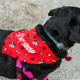 A large red pet bandana featuring a playful pattern of paws, bones, and toys, with a visible logo.