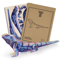 A vibrant, multicoloured wooden model of a tuatara next to its packaging and assembly instructions.