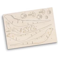 A wooden model kit with laser-cut pieces resembling a tuatara, featuring light wood colour and numbered parts for assembly.