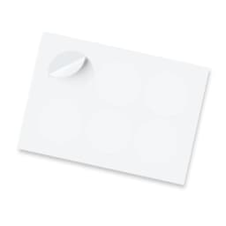 A sheet of glossy stickers featuring six 80mm circular blank stickers, with one corner slightly lifted.